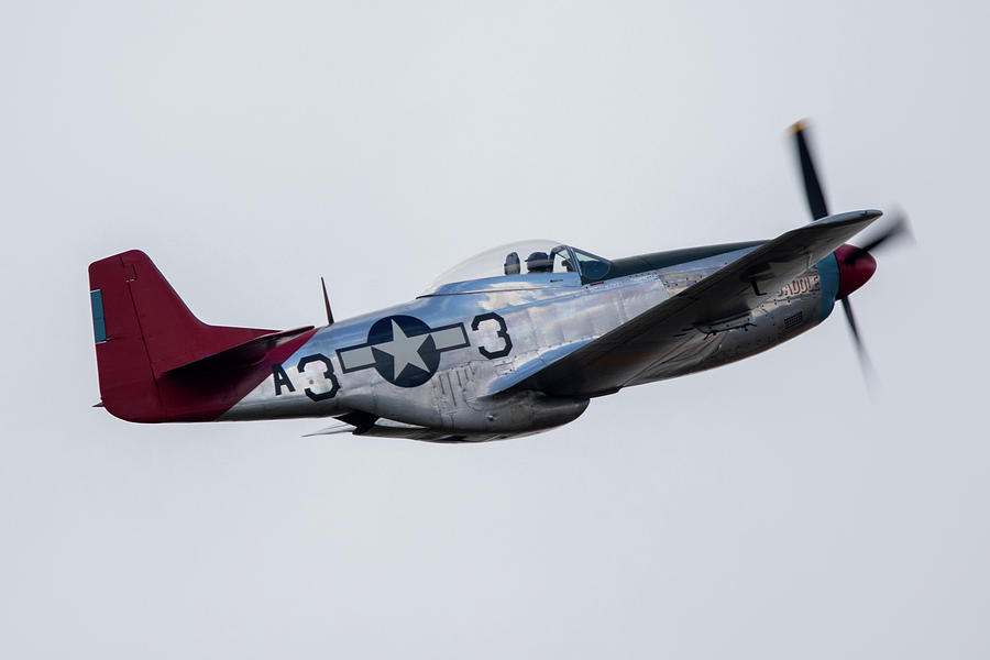 P51 Mustang Tall In The Saddle #5 Photograph by Airpower Art
