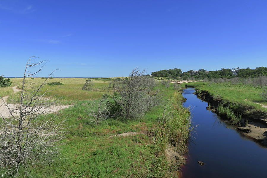 Paines Creek, Brewster MA #5 Photograph by Thomas Henthorn - Pixels