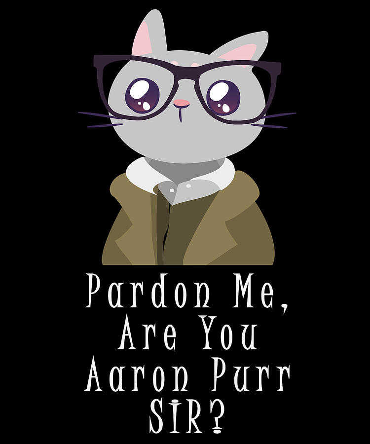 Pardon me are you aaron purr sir t-shirt | tostadora