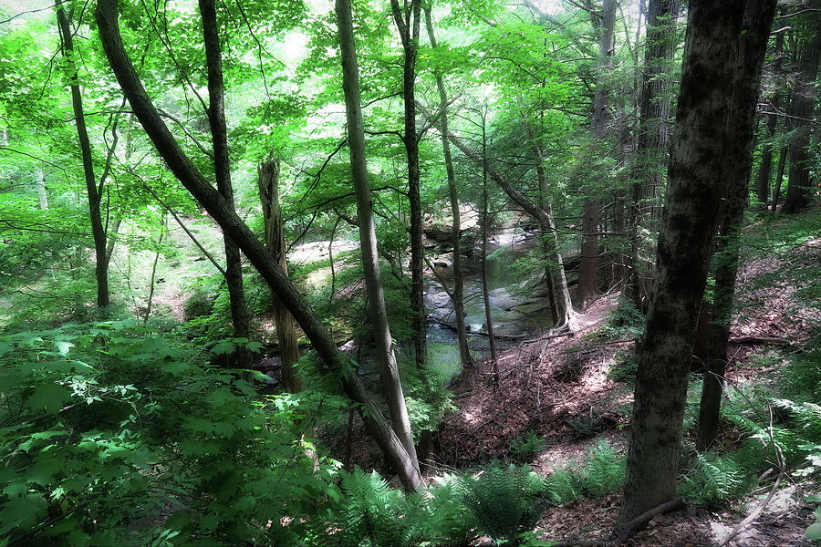 Pequonnock River Valley, Trumbull CT Photograph by Thomas Henthorn Pixels