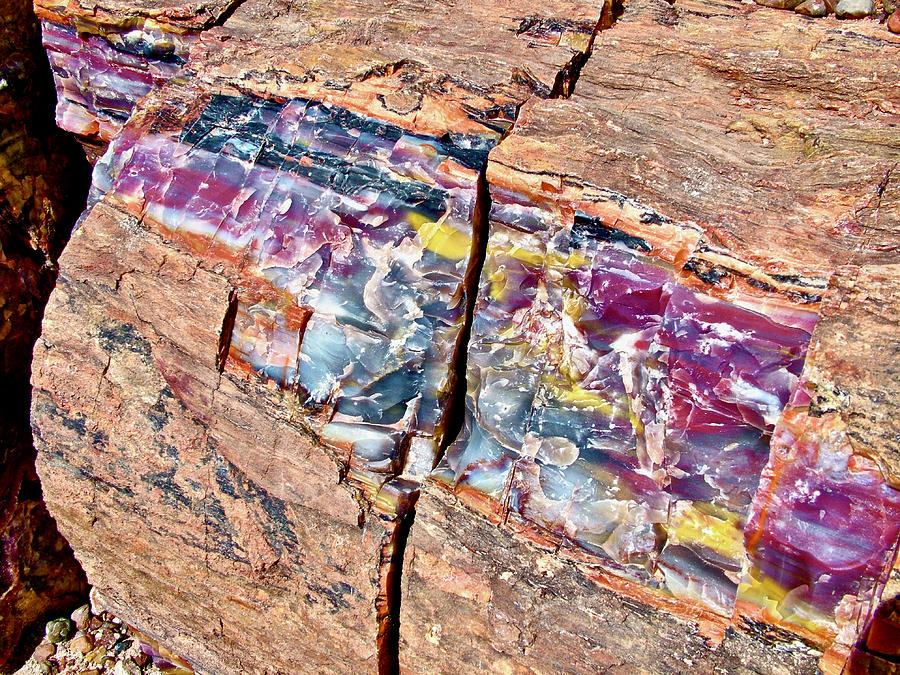 Petrified Forest National Park Photograph - Petrified Wood, Crystal Forest, Petrified Forest National Park, Arizona by Ruth Hager