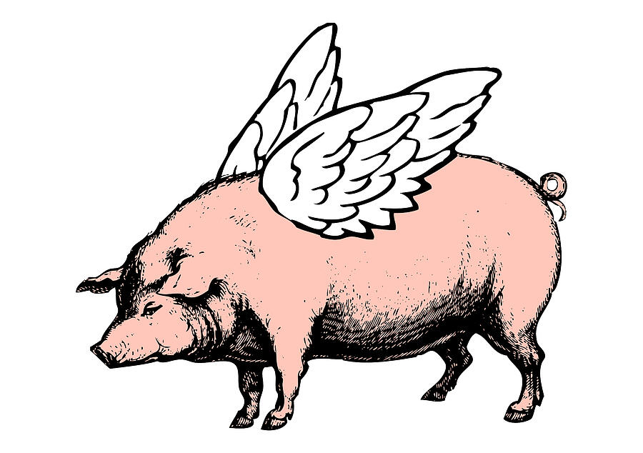 Pig with Wings - No. 4 Digital Art by Eclectic at Heart