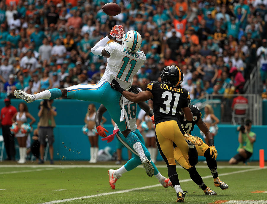 Pittsburgh Steelers v Miami Dolphins #5 Photograph by Mike Ehrmann