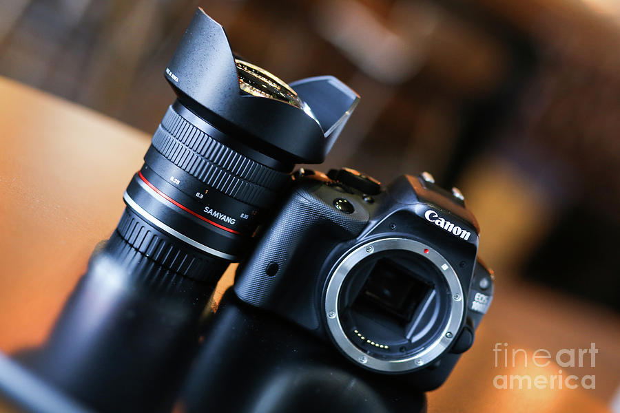 canon dslr professional