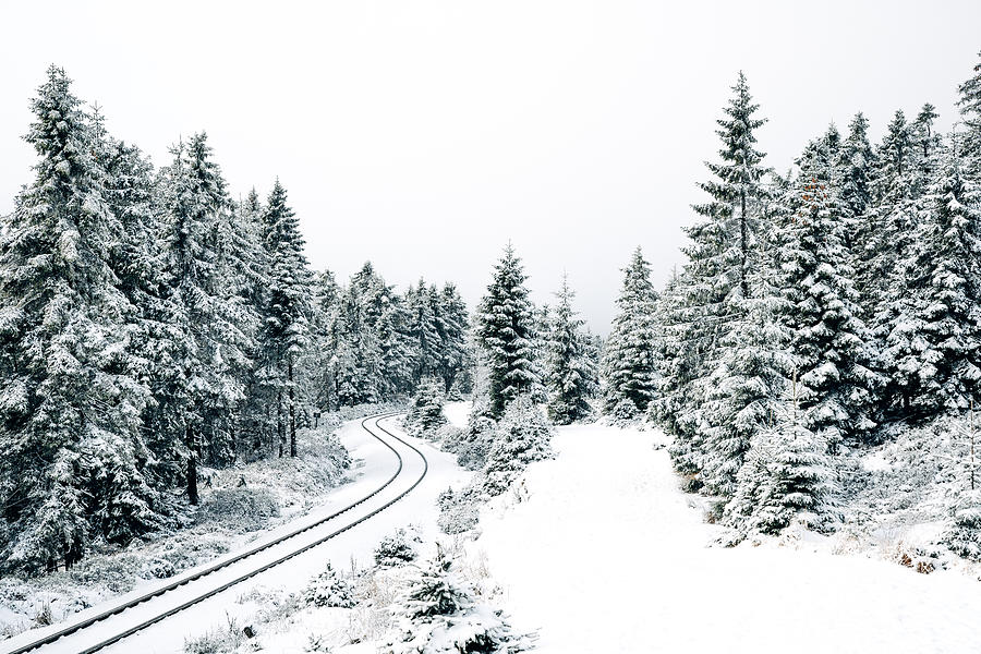 Schneelandschaft im Wald #5 Photograph by Joern Siegroth