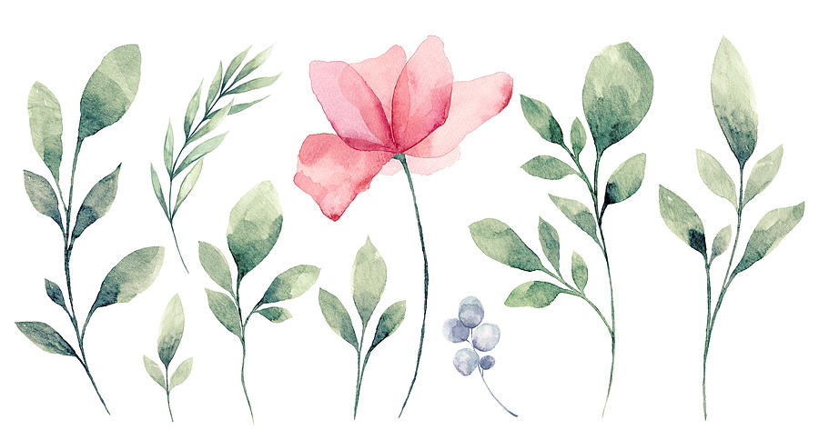 Set of watercolor Flower and green leaves #5 Drawing by Rustemgurler
