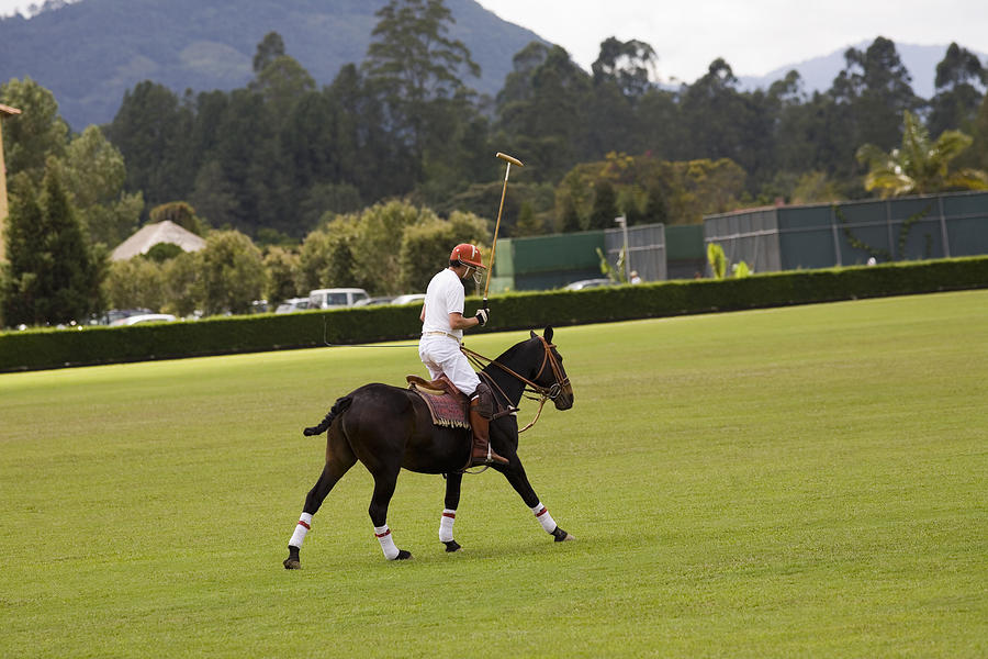 Side profile of a man playing polo #5 Photograph by Glowimages