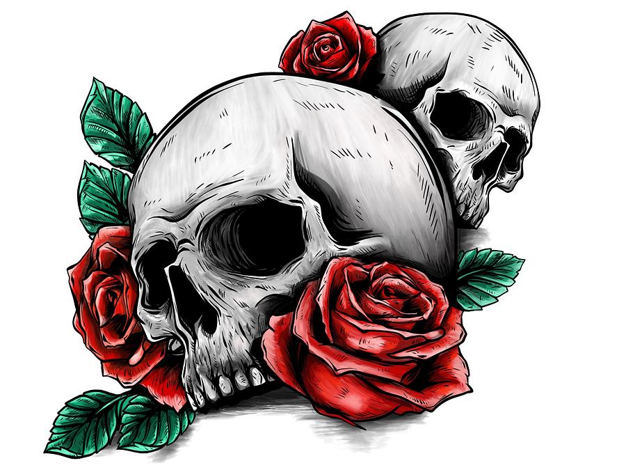 cool drawings of roses and skulls