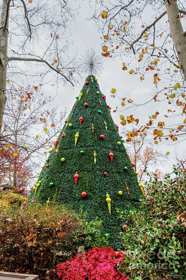 Christmas Photograph - 5 Story SDC Tree by Jennifer White
