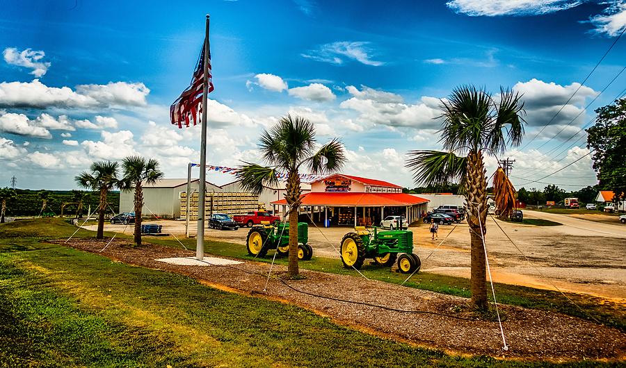 Strawberry Hill Usa Fruit And Vegetable Farm In South Carolina #5 Photograph by Alex Grichenko