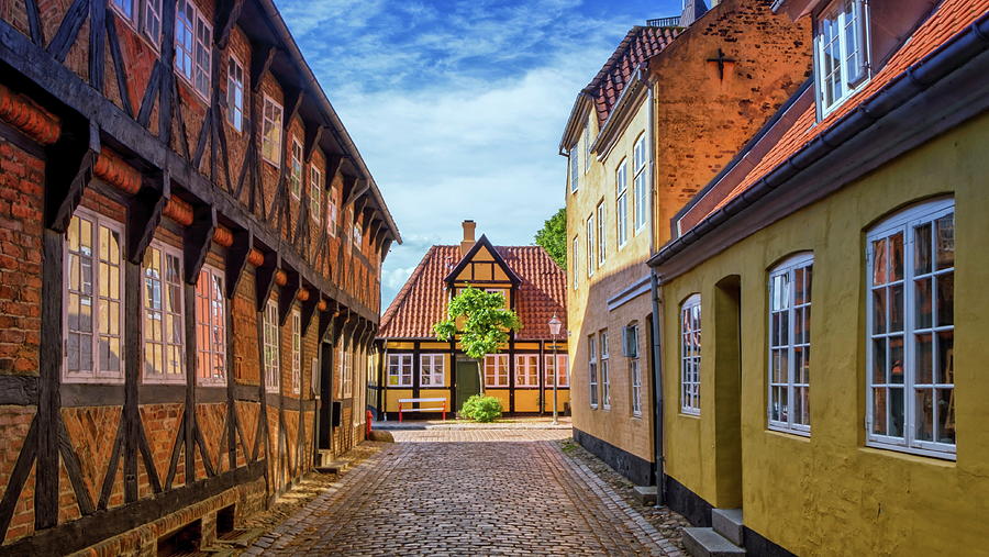 Street and houses in Ribe town, Denmark #5 Photograph by Elenarts - Elena Duvernay photo