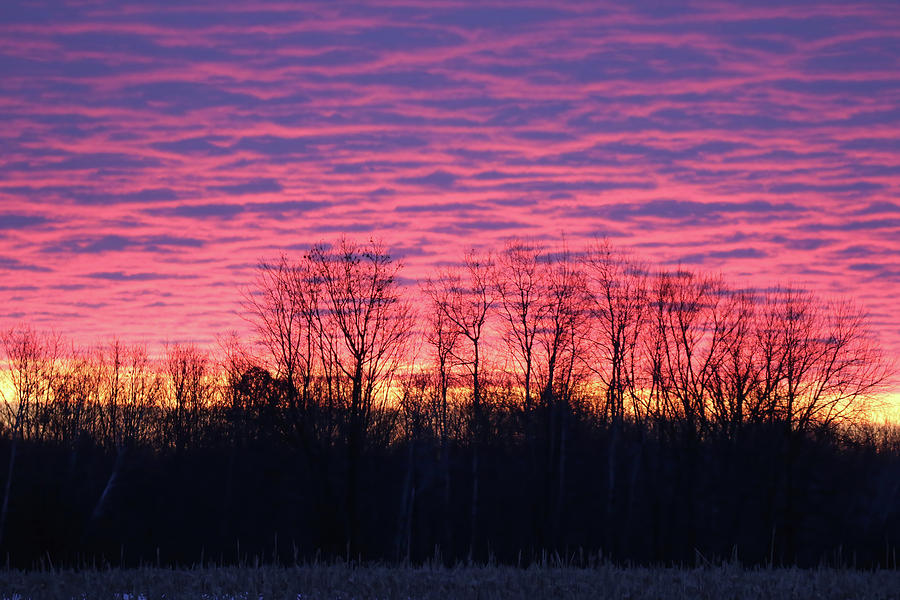 Sunrise #5 Photograph by Brook Burling