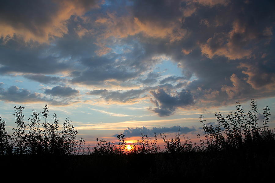 Sunset Sky #5 Photograph by Jindra Noewi