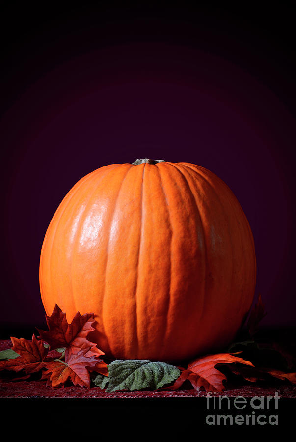 Thanksgiving Photograph - Thanksgiving Pumpkin Centerpiece #5 by Milleflore Images