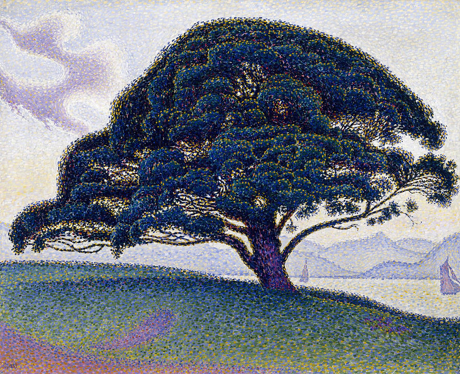 Paul Signac Painting - The Bonaventure Pine  #5 by Paul Signac