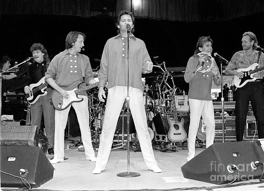 The Monkees Photograph by Concert Photos Fine Art America