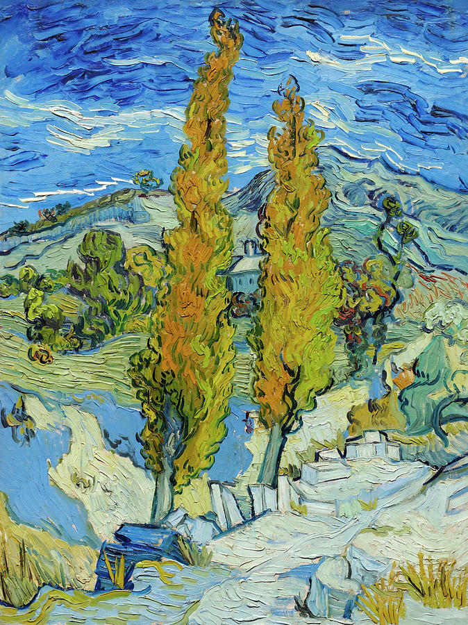 The Poplars At Saint-remy By Vincent Van Gogh Painting