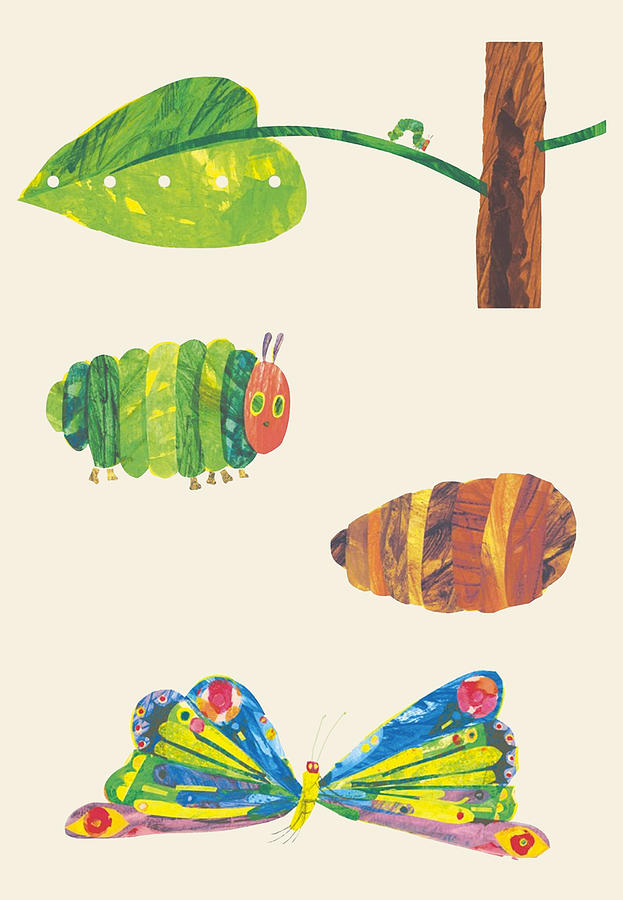 Butterfly Drawing - The very hungry caterpillar #5 by The Gallery