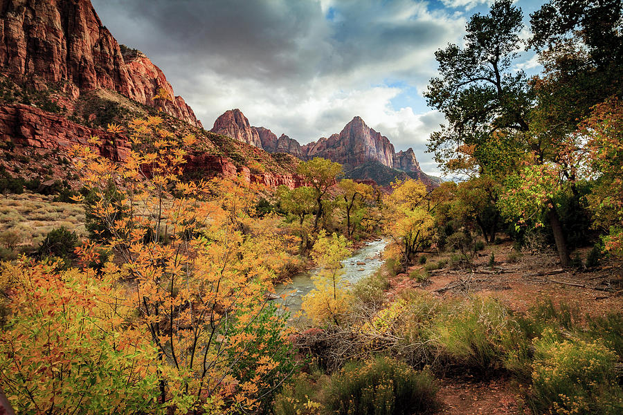 Zion National Park Photograph - The Watchman, Zion National Park #5 by Peter OReilly