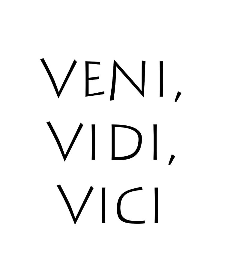 Veni. Vidi. Vici.