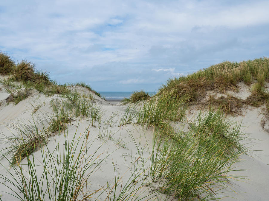 View over the dunes of Ameland, Holland #5 Photograph by Tosca Weijers