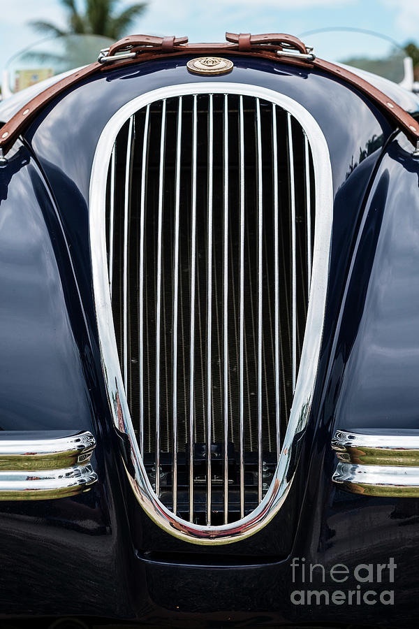 Vintage Jaguar Automobile #5 Photograph by Raul Rodriguez
