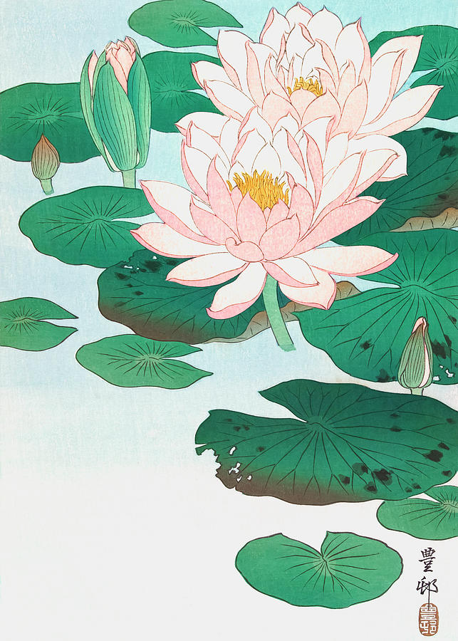 Water Lily By Ohara Koson Photograph