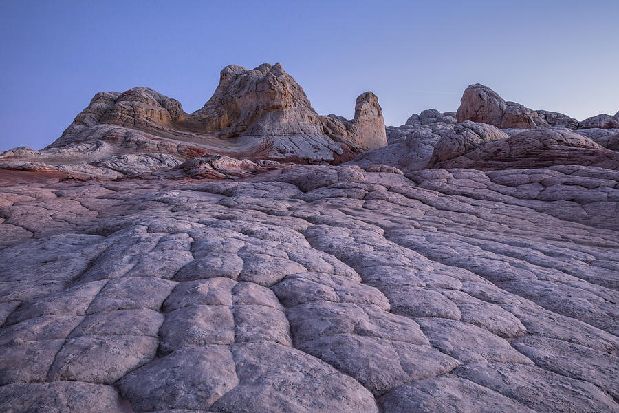 White Pocket, Arizona, USA #5 Photograph by David Clapp