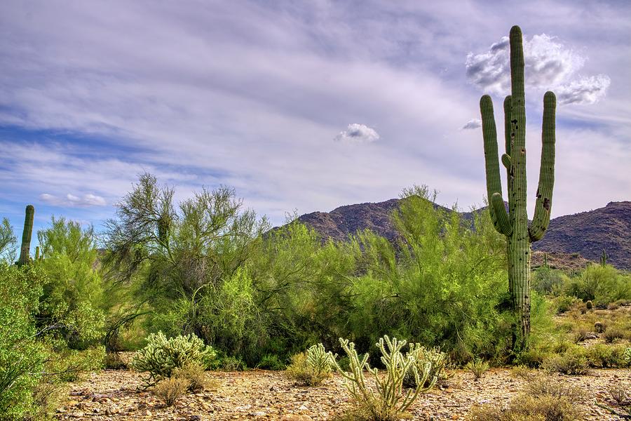 White Tank Mountain Scenes Near Phoenix Arizona #5 Photograph by Kenneth Roberts