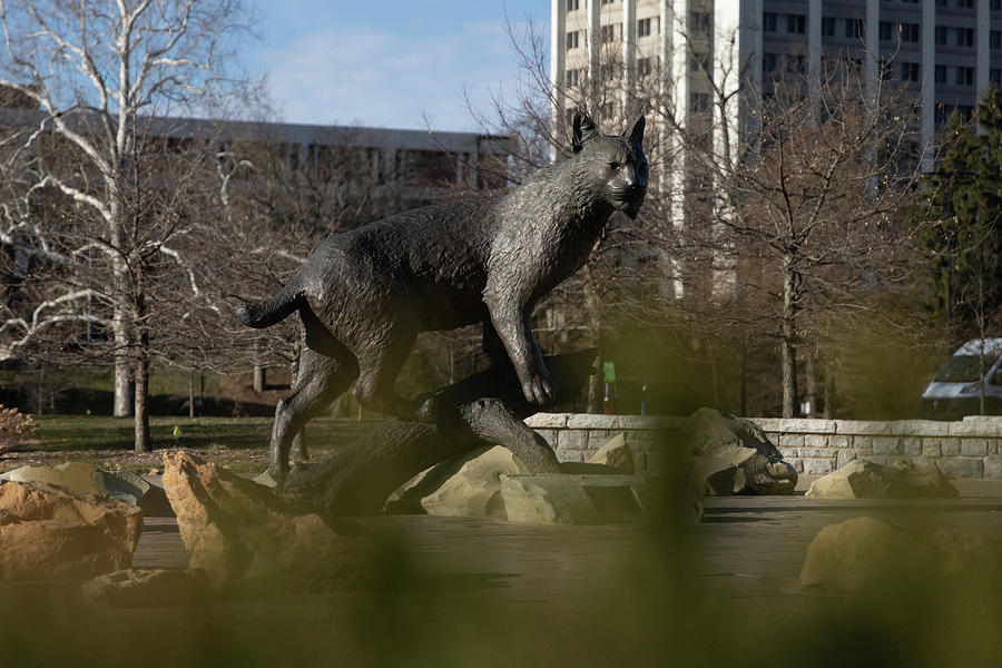 Wildcat statue at the University of Kentucky #5 Photograph by Eldon McGraw