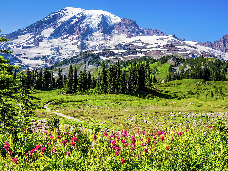 Mount Rainier National Park: Wildflowers