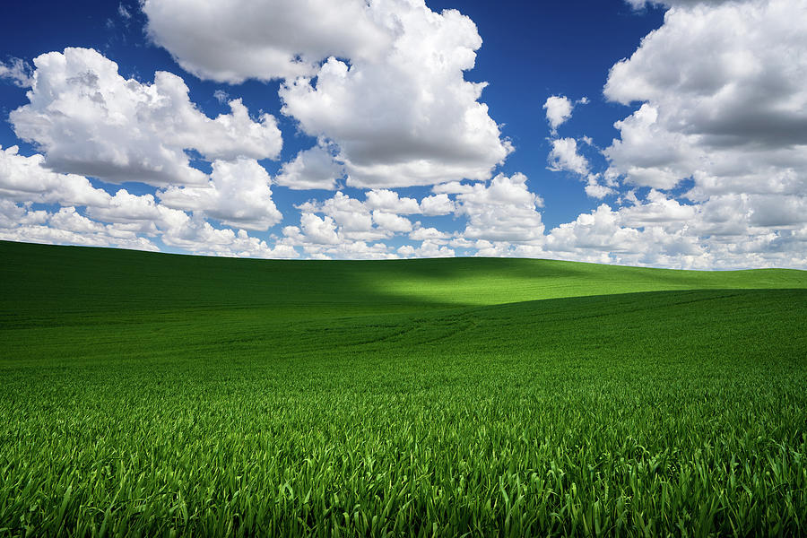 Windows XP Bliss-like Photograph by Neal G - Pixels