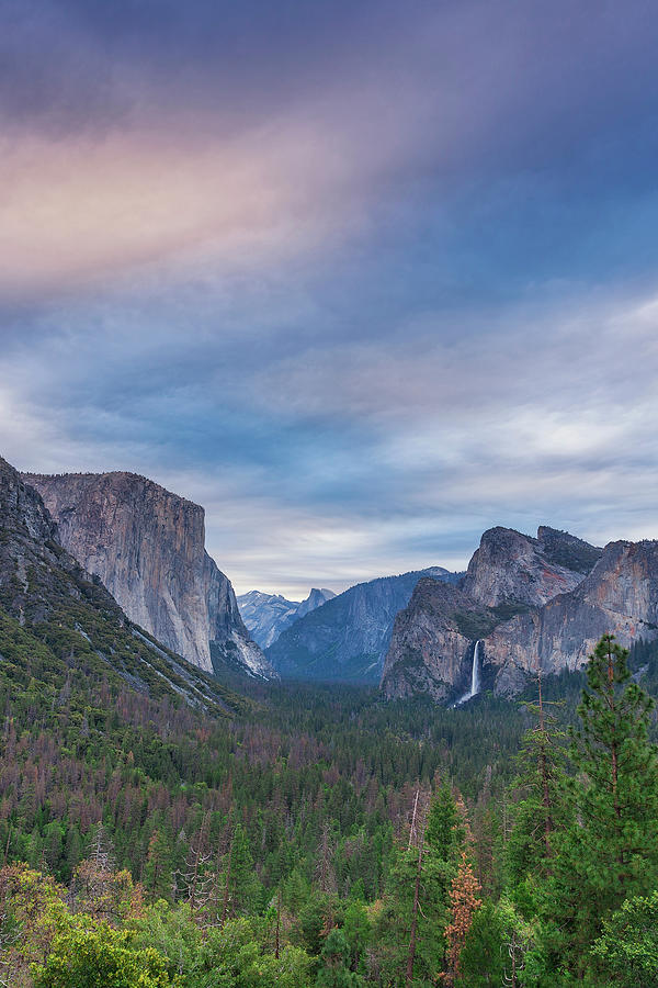 Yosemite Tunnel View Photograph