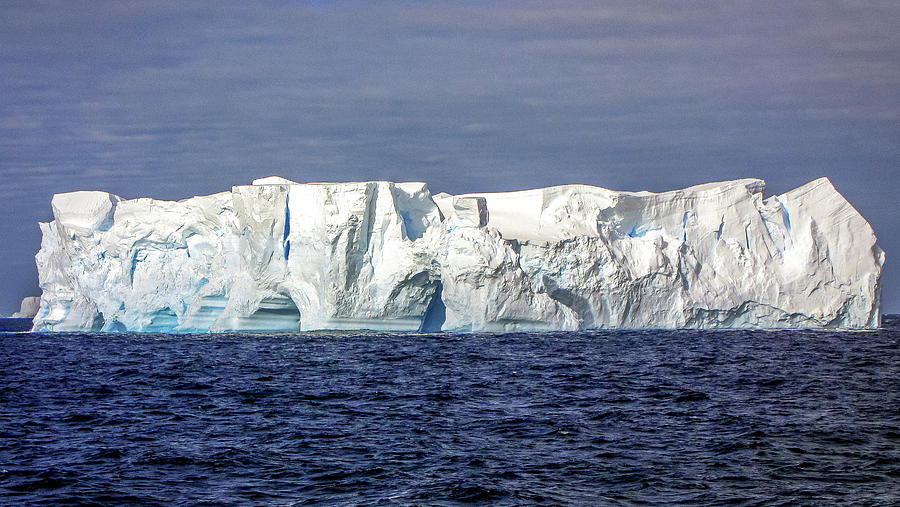Antarctica #50 Photograph by Paul James Bannerman