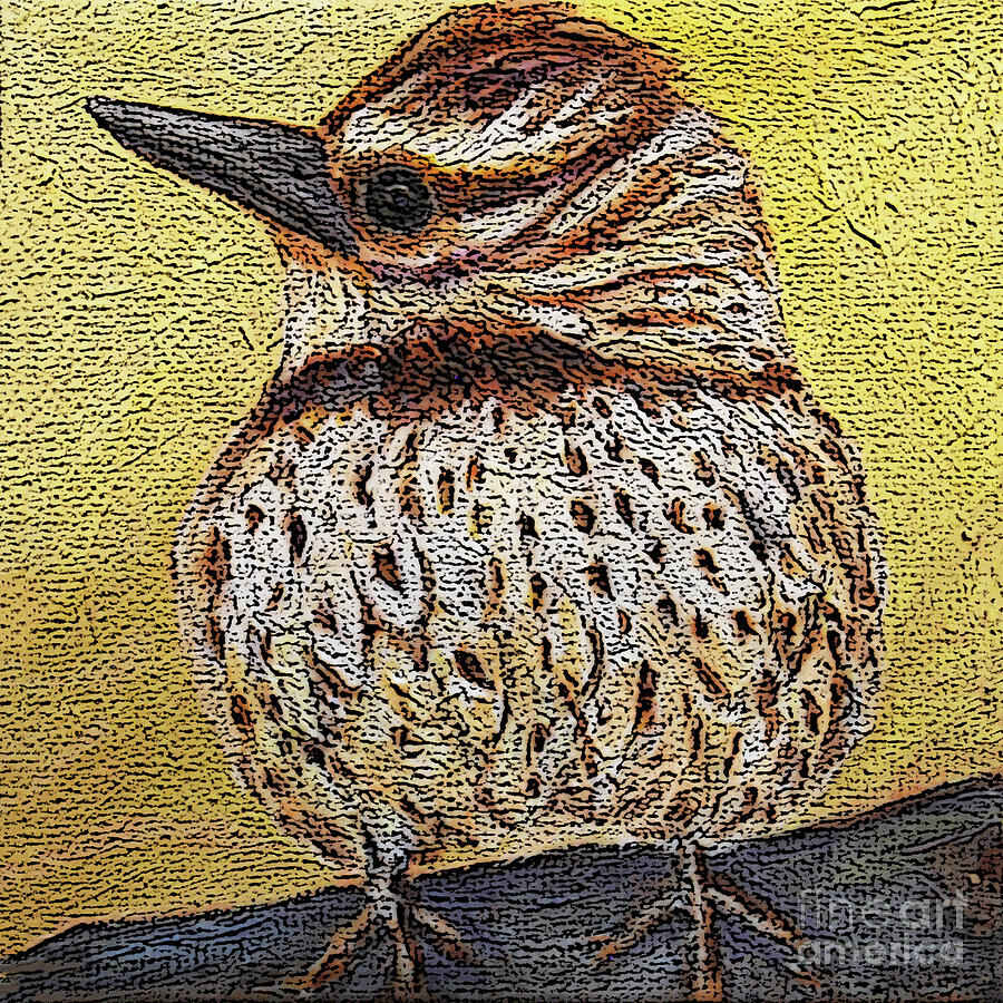 50 Cactus Wren Painting by Victoria Page