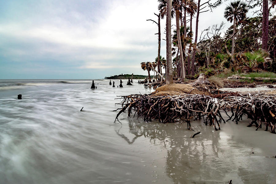 Hunting island south carolina beach scenes #50 Photograph by Alex Grichenko