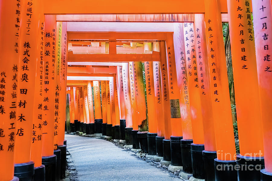 Fifty shades of orange - Senbon Torii, Kyoto Photograph by Lyl Dil Creations