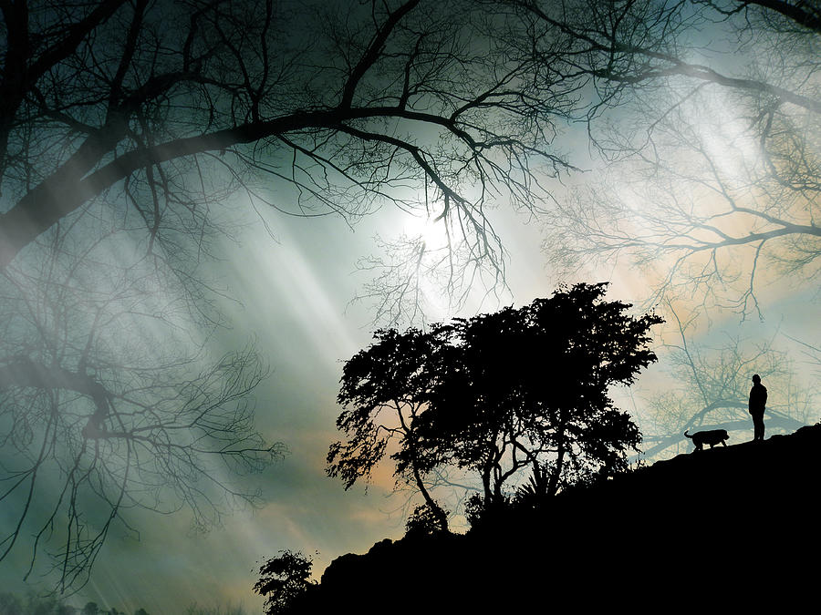 5000 Photograph by Peter Holme III