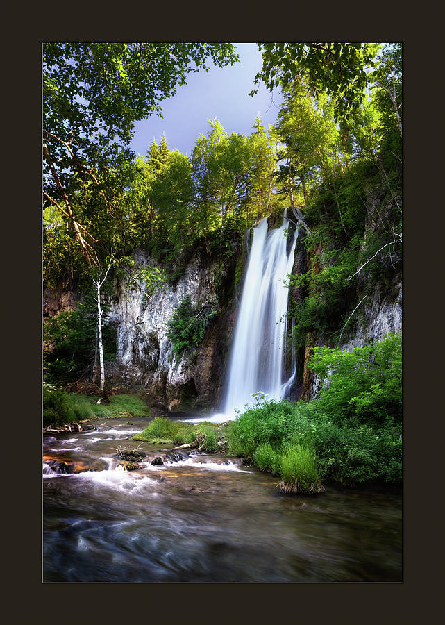5069 Spearfish Photograph by Darshan Nohner Photography