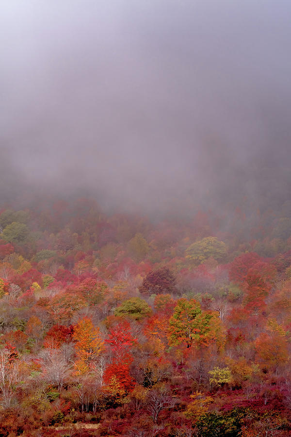 Autumn in the Appalachian Mountains Viewed Along the Blue Ridge  #51 Photograph by Alex Grichenko