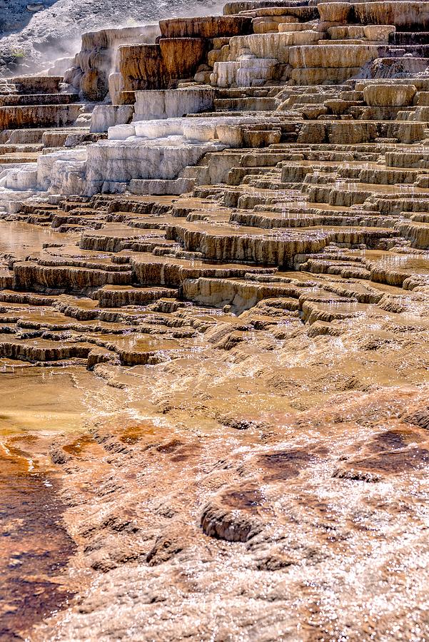 Travertine Terraces, Mammoth Hot Springs, Yellowstone #51 Photograph by Alex Grichenko