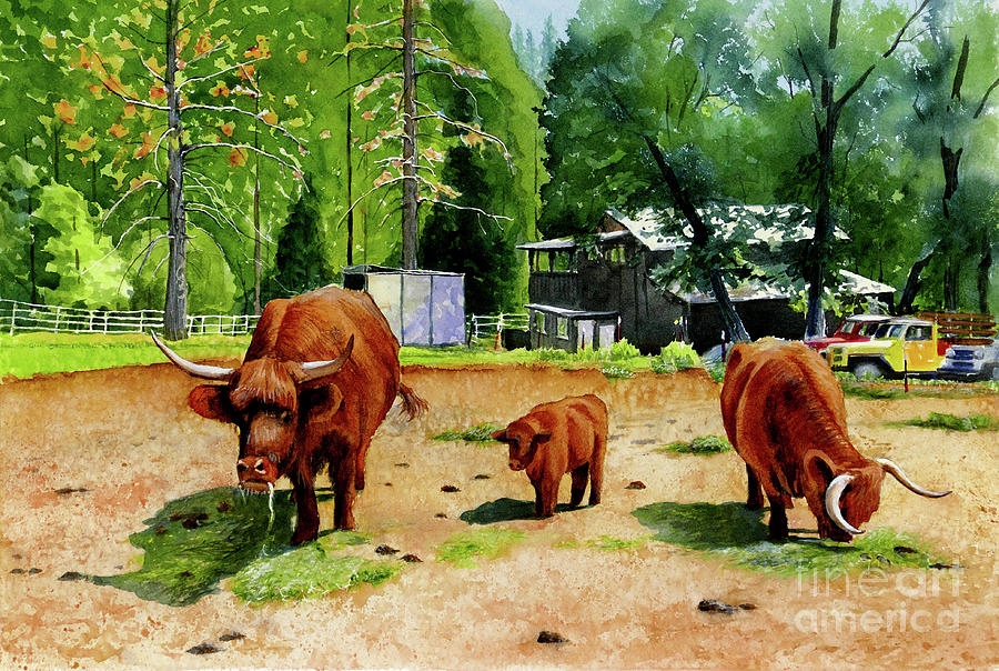 #510 Highland Cattle #510 Painting by William Lum