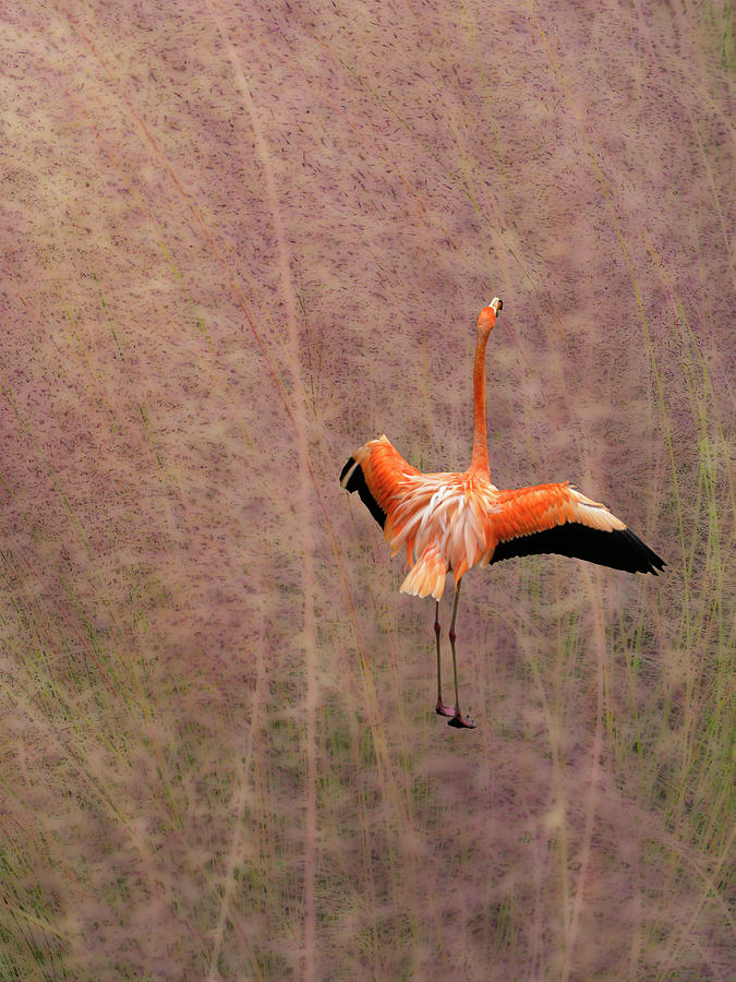 5125 Photograph by Peter Holme III