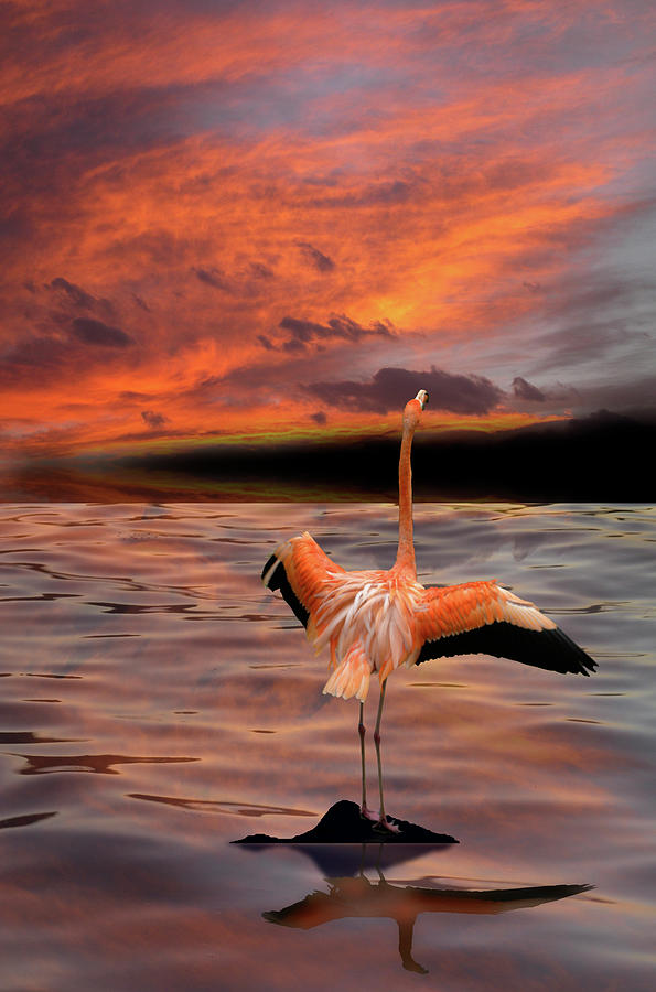 5159 Photograph by Peter Holme III