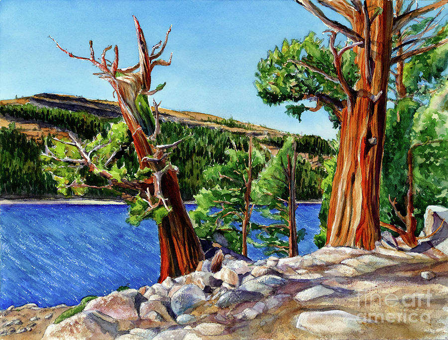#519 Caples Lake #519 Painting by William Lum