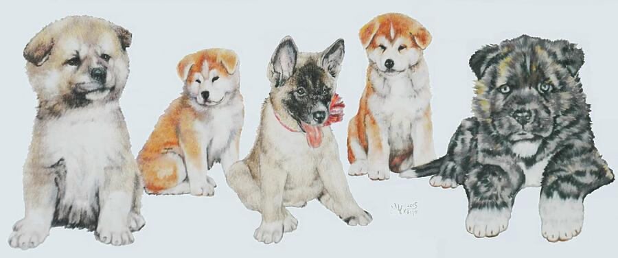 Dog Mixed Media - Akita Puppies by Barbara Keith