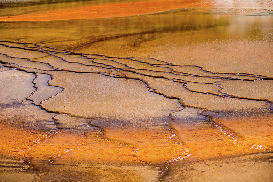 Grand Prismatic Spring in Yellowstone National Park #52 Photograph by Alex Grichenko