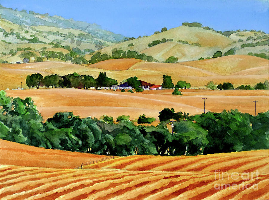 #526 Esparto Hills #526 Painting by William Lum