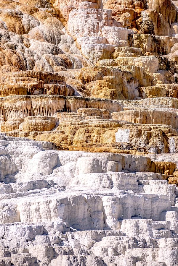 Travertine Terraces, Mammoth Hot Springs, Yellowstone #53 Photograph by Alex Grichenko