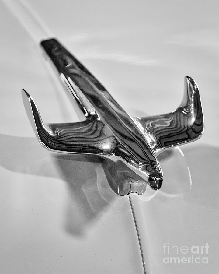 54 Chevrolet Hood Ornament #54 Photograph by Dennis Hedberg